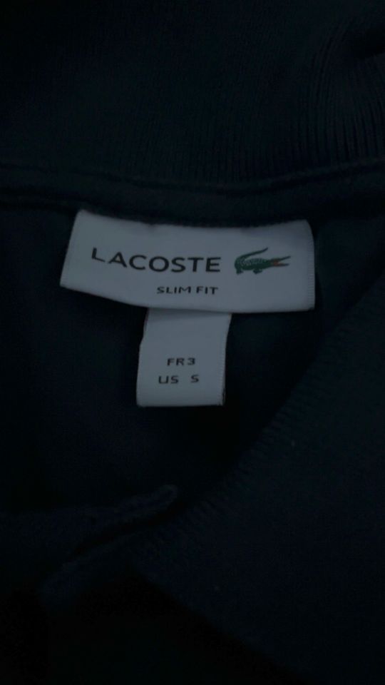 LACOSTE Polo Shirt‘s in Stein-Neukirch