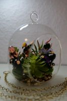 Super Naruto Glas Terrarium mit Künstlichen Pflanzen Anime Aachen - Eilendorf Vorschau