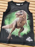 1. Hand H&M Sommer TOP Dinosaurier 110-116 schwarz,grün Bayern - Karlstein Vorschau