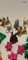 Lego Duplo Figuren Tiere Nordrhein-Westfalen - Wadersloh Vorschau