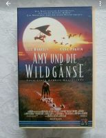 VHS Amy und die Wildgänse Berlin - Hellersdorf Vorschau