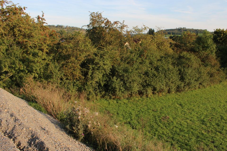 *reserviert* Baugrundstück in ruhiger Lage von Hessisch-Lichtenau OT Walburg - bereits für den Bau vorbereitet! in Hessisch Lichtenau