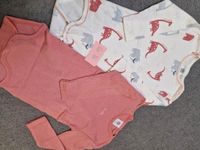 Body's Gr. 86 und 86/92 Petit Bateau,Tom Tailor, H&M Brandenburg - Luckau Vorschau