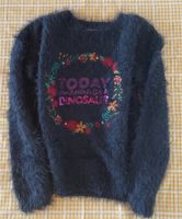 Desigual Pullover für Mädchen in Größe 128 Hessen - Wiesbaden Vorschau