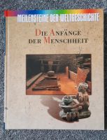 Meilensteine der Weltgeschichte Bücher Thüringen - Hermsdorf Vorschau