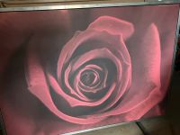 Ikea Bild Rose 140x100 Hessen - Friedrichsdorf Vorschau