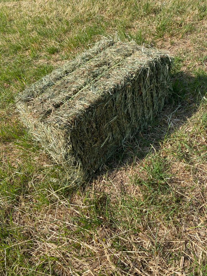 Heu, Heuballen für Hasen, Kaninchen, Schafe, Pferde in Sinzig