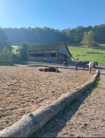 Pferdepension Offenstall Wallachherde Orlatal-Ranch Thüringen - Pössneck Vorschau