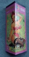 Puzzle 1500 Teile Degano "Pin up girl" Hamburg-Nord - Hamburg Hohenfelde Vorschau