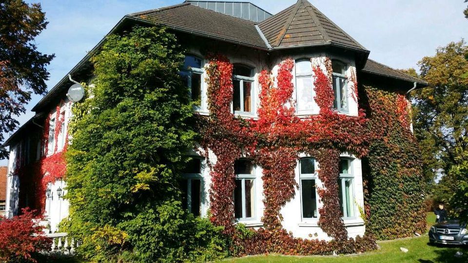 Ferienwohnung im Gutshaus Mecklenburgische Schweiz in Gnoien