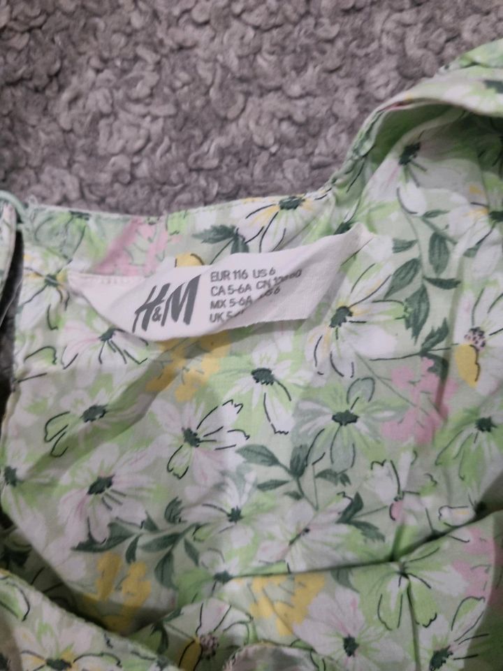 H&M Kleid Blumen floral grün Flügelärmel Gr 116 in Hannover