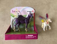 Schleich Bayala Pegasus 70579 Regenbogen- Einhorn 70577 Bremen - Borgfeld Vorschau