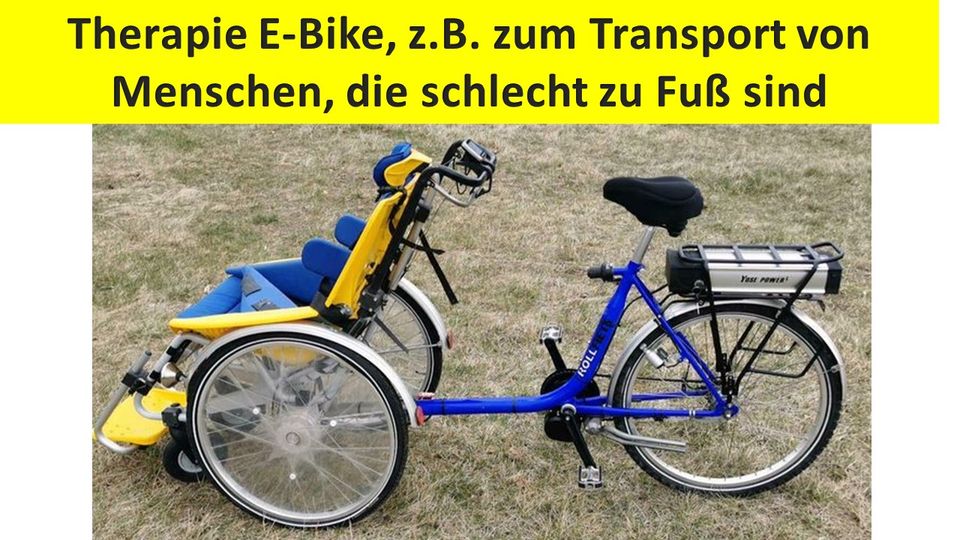 Mieten E-Bike Lastenrad Sesseldreirad DOG-Scooter in Cottbus