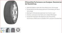 4   Sommerreifen – Marke Goodyear 205/55 R17 91V  (neuwertig) Baden-Württemberg - Graben-Neudorf Vorschau