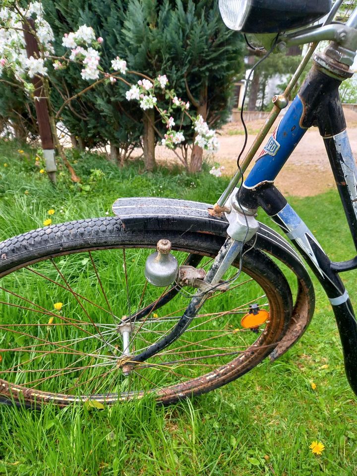 Oldtimer Damenfahrrad zu Deko in Beilngries