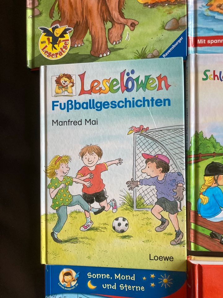 Leserabe / Leselöwen / Bildermaus 1. Klasse / Erstlesebücher in Grünberg