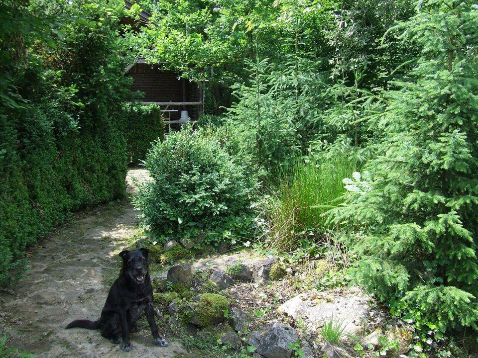 Haus im Naturparadies in Alleinlage in Mallersdorf-Pfaffenberg