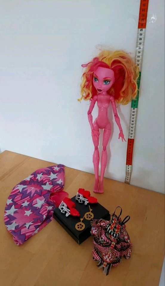 Monster High / Ever After Puppe Tall Doll ca 45 cm in Allendorf