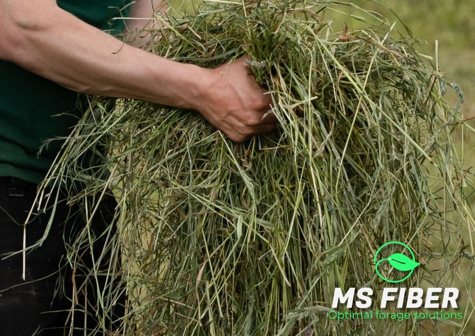 Heulage Midi-Ballen Größe M Abholung Lieferung Pferdeheu in Edewecht - Friedrichsfehn