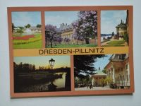 DDR Postkarte Dresden-Pillnitz Fliederhof, Wasserpalais Hessen - Gießen Vorschau