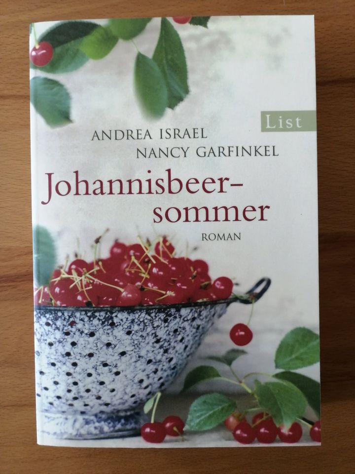 Taschenbuch Garfinkel, Andrea Johannisbeersommer in Hannover