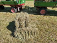 Stroh in kleinen Bündeln Bayern - Amerang Vorschau