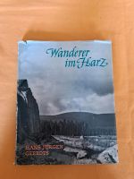 Wanderer im Harz Brandenburg - Wilhelmshorst Vorschau