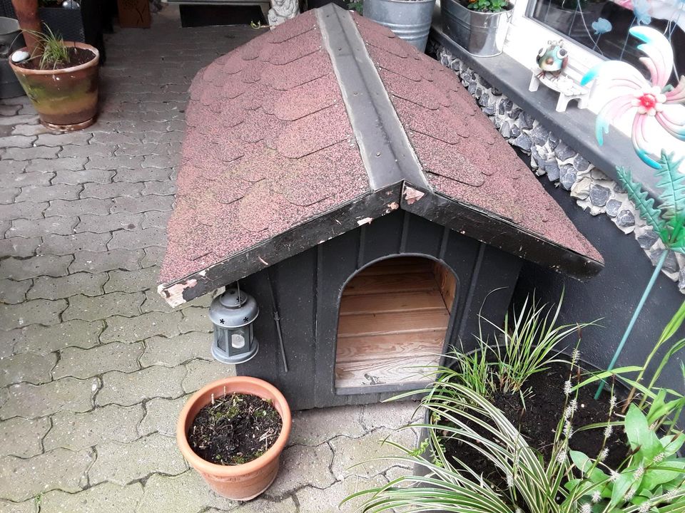 Hundehütte  Hunde Haus Hütte xxl in Florstadt