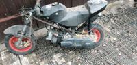 Spaßmoped Spaßmobil Poketbike Eigenbau Brandenburg - Märkisch Linden Vorschau