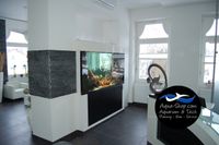 Aquarium Service Reinigung Wartung in Bad Hersfeld Hessen - Bad Hersfeld Vorschau