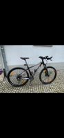 Scott Syncros Aspect 29 Zoll Fahrrad Top Zustand Bikes Unisex Thüringen - Artern/Unstrut Vorschau