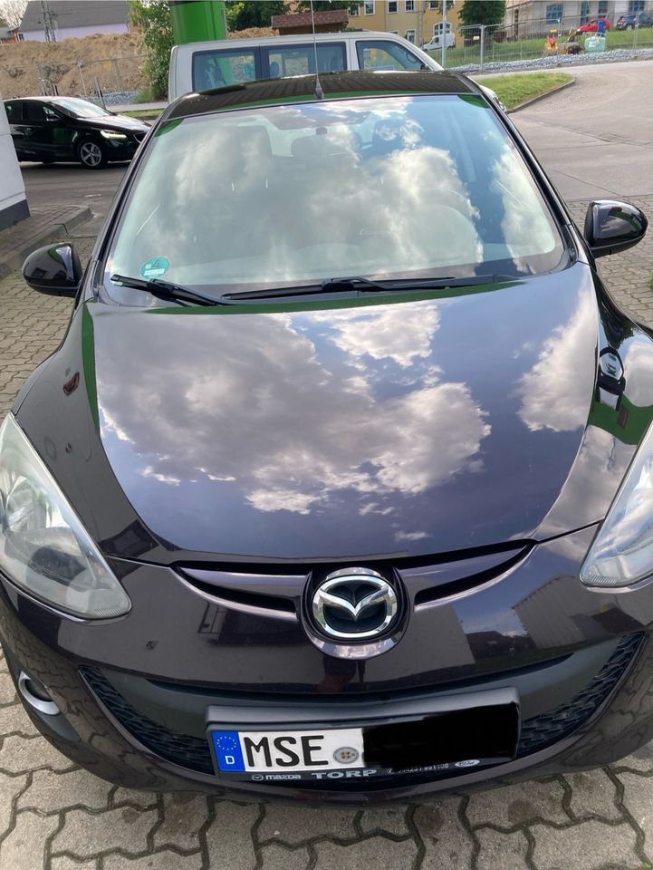 Mazda 2 MZR 1,3 Edition in Zirzow