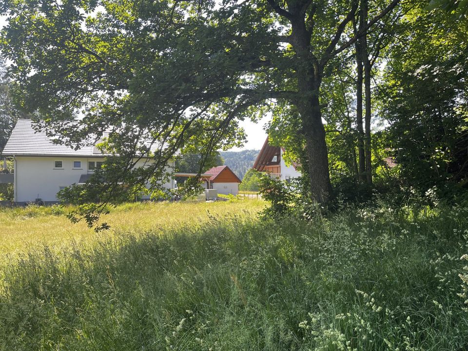 Bestpreisgarantie bei Bien-Zenker - Grundstück mit Bien-Zenker Einfamilien Haus EVO164 in Lauchringen