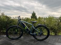 Fahrrad Mountainbike Damenrad Rockrider E-bike Nordrhein-Westfalen - Halver Vorschau