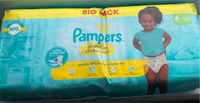 Pampers Premium Protection 144 Stück Größe 6 Windeln Schleswig-Holstein - Ulsnis Vorschau