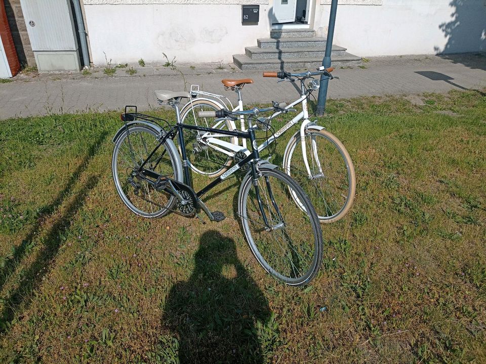 Retro Fahrrad 28" in Wandlitz