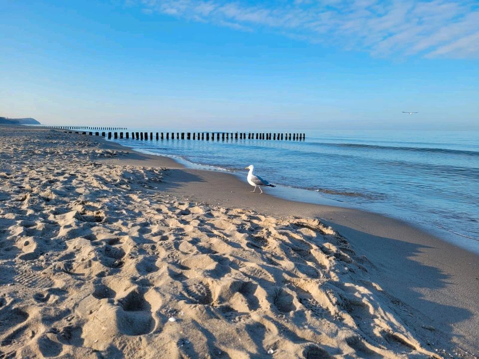 Kurz-Urlaub Fahrrad Ostsee Schnäppchen Ückeritz Kur in Berlin