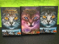 Warrior Cats Das Gebrochene Gesetz 2 Bände Erin Hunter gebraucht Baden-Württemberg - Gerabronn Vorschau