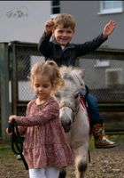 Ausflug zum Pony - Hof  Hessen - Biebergemünd Vorschau