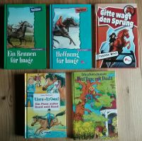 Kinder/Jugendbücher,  Pferde Schleswig-Holstein - Rendsburg Vorschau