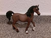 Schleich Araber Hengst Special 13811 Niedersachsen - Bispingen Vorschau