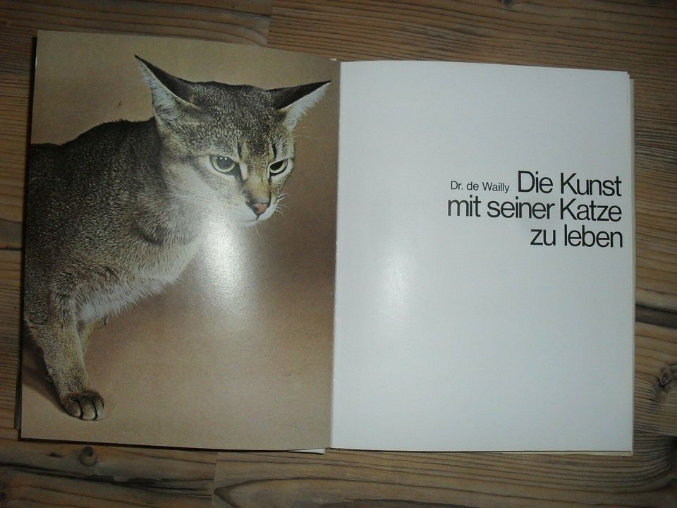 Dr. de Wailly, Die Kunst mit seiner Katze zu leben - Bildband in Bingen