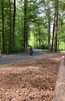 Suche günstigen Roller - 50ccm/75ccm AM Moped Bayern - Aschaffenburg Vorschau