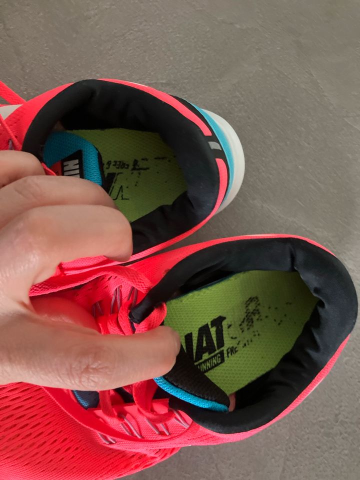 Nike free run 37,5 UK4 Neon pink hellblau wenig getragen in Petersaurach