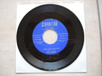 Jimmy Barnes 45 rpm Nordrhein-Westfalen - Herne Vorschau