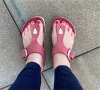 Birkenstock big Buckle 37  ❤️ Gizeh Brombeere normale Weite Baden-Württemberg - Oberkirch Vorschau