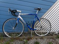 Atala Seimilla 6000 Rennrad Carbon Gabel Alu 105er Shimano Eroica Sachsen - Auerbach Vorschau