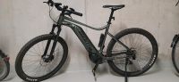 Giant Talon E+1, E-Bike, gekauft im März 2023 Rheinland-Pfalz - Landau in der Pfalz Vorschau