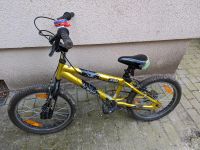 17 Zoll Kinderfahrrad Fahrrad BMX Mountainbike Jungen Berlin - Wilmersdorf Vorschau