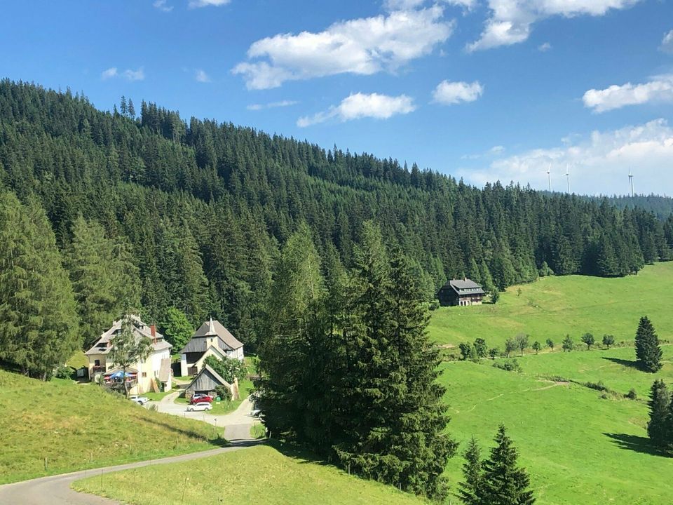 Berghütte/Ferienhaus Steiermark Österreich frei ab SA 1.6. & 15.6 in Berlin